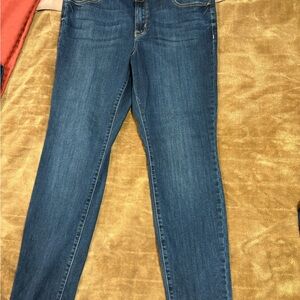 Lane Bryant Dark Blue Skinny Jeans